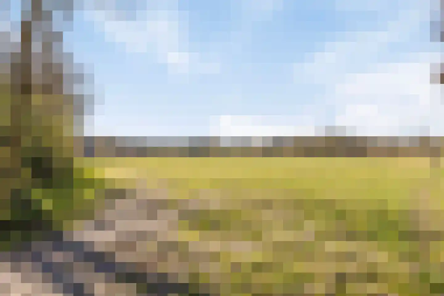 Kade 61 Rucphen thumbnail 58