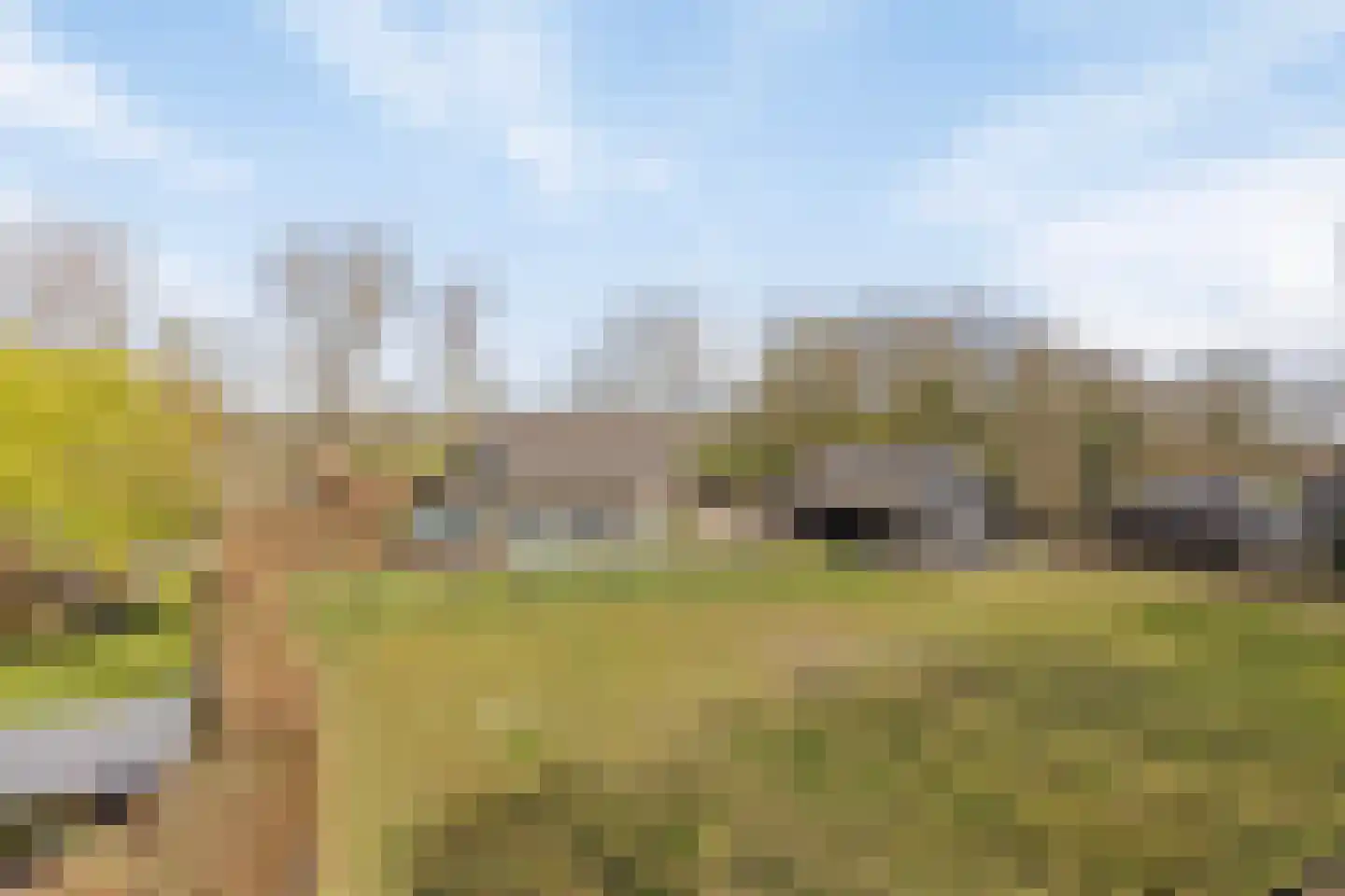Kade 61 Rucphen thumbnail 62