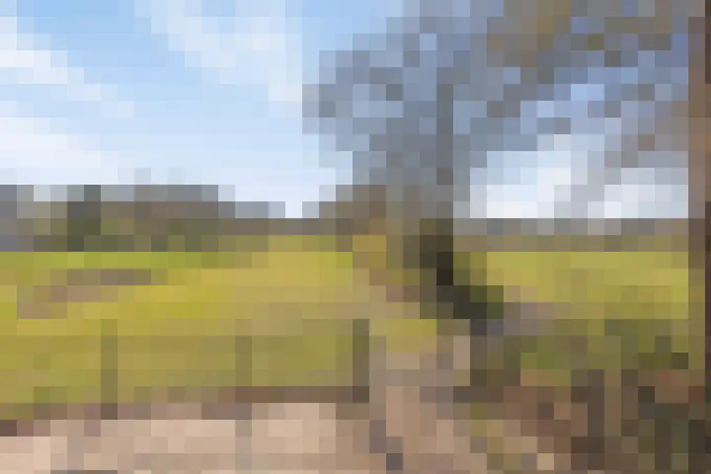 Kade 61 Rucphen thumbnail 64
