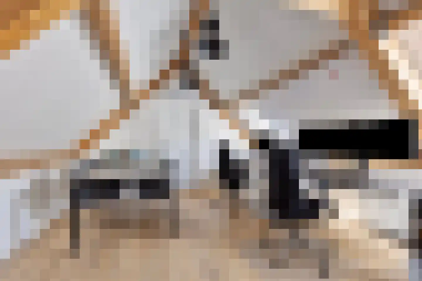 Kade 61 Rucphen thumbnail 67