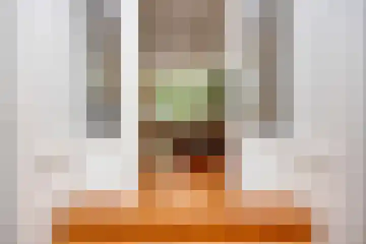 Kade 8 Piershil thumbnail 14