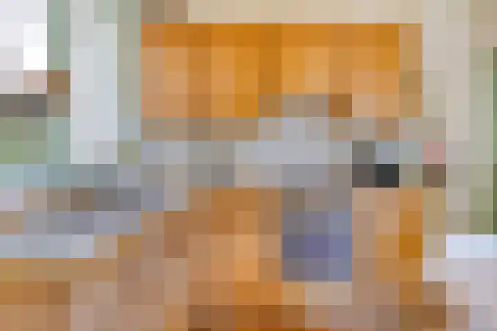 Kade 8 Piershil thumbnail 15