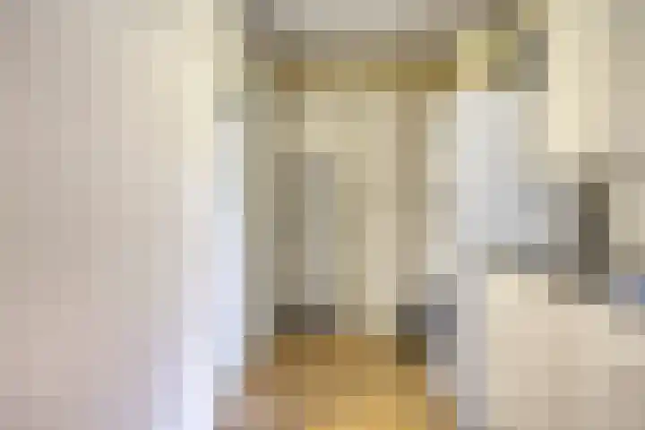 Kade 8 Piershil thumbnail 22