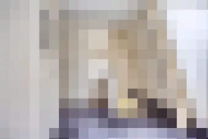 Kade 8 Piershil thumbnail 23