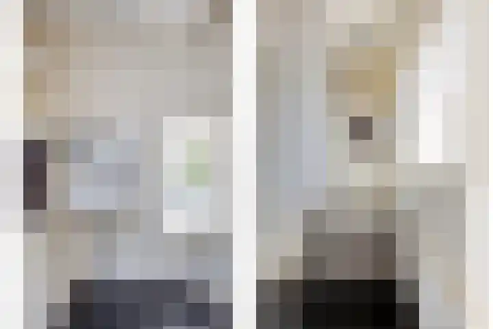 Kade 8 Piershil thumbnail 29