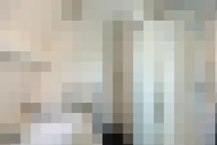 Kade 8 Piershil thumbnail 32