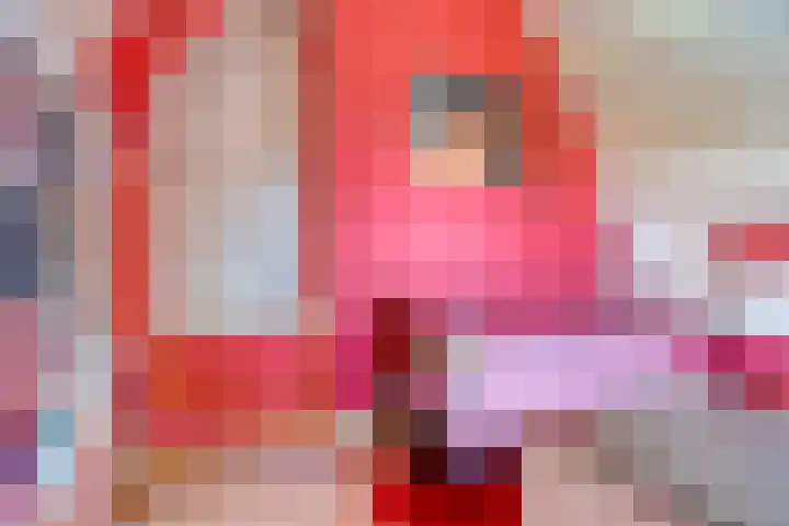 Kade 8 Piershil thumbnail 36