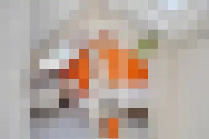 Kade 8 Piershil thumbnail 38