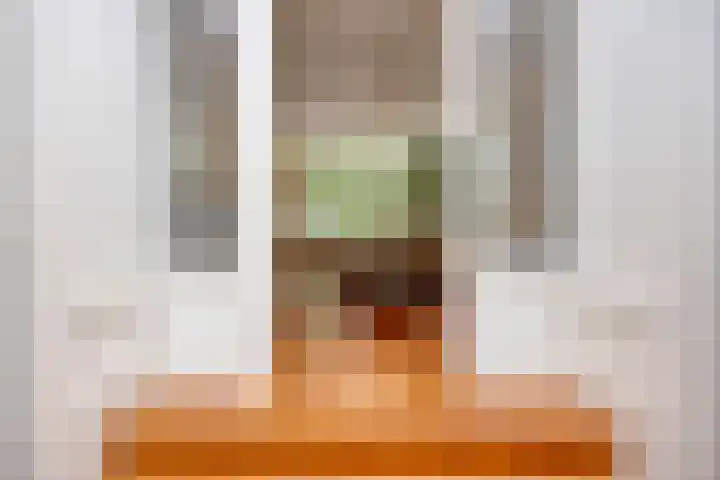 Kade 8 Piershil thumbnail 4