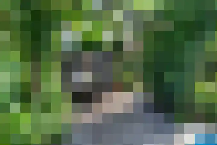 Kade 8 Piershil thumbnail 42
