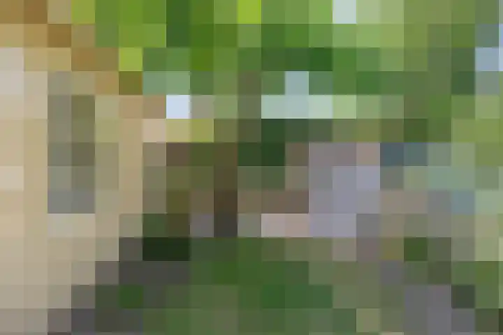 Kade 8 Piershil thumbnail 43
