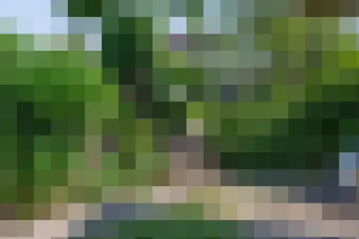 Kade 8 Piershil thumbnail 44