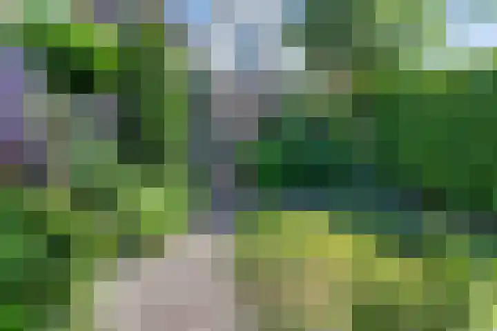 Kade 8 Piershil thumbnail 45