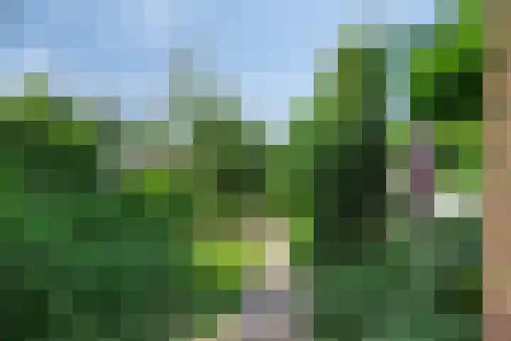 Kade 8 Piershil thumbnail 46