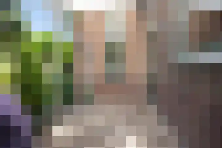 Kade 8 Piershil thumbnail 48