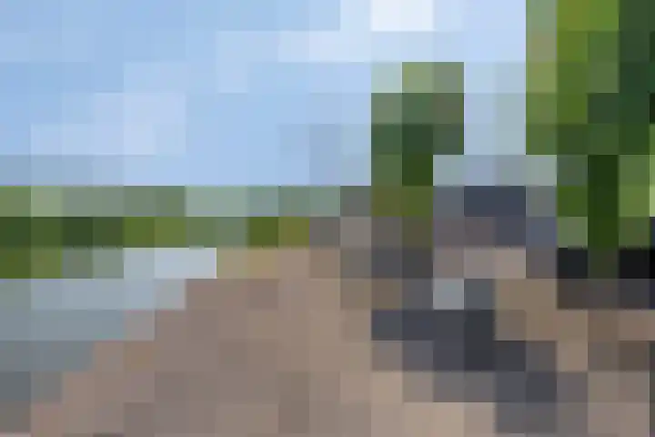 Kade 8 Piershil thumbnail 49