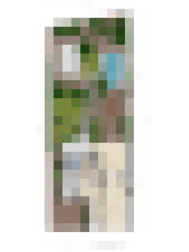 Kade 8 Piershil thumbnail 54