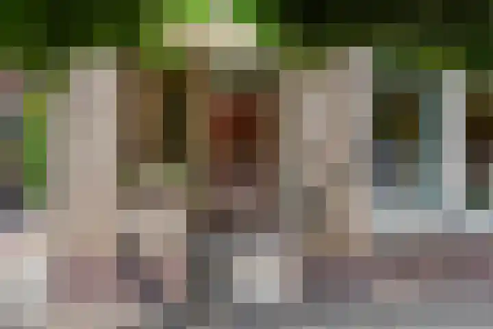 Kade 8 Piershil thumbnail 6