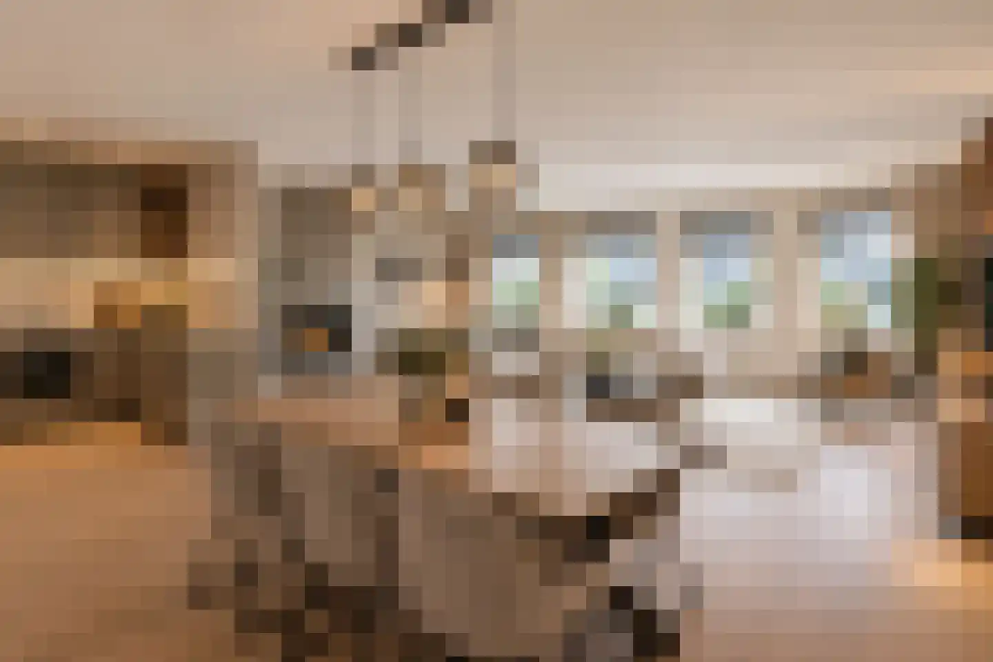 Kade 8 Sint Nicolaasga thumbnail 4