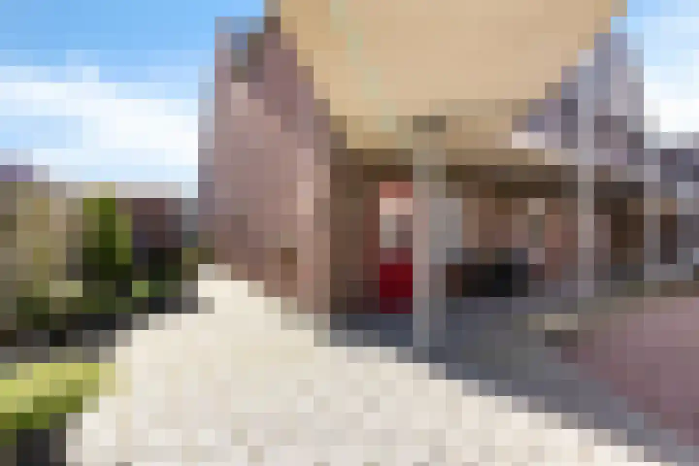 Kade 8 Sint Nicolaasga thumbnail 7