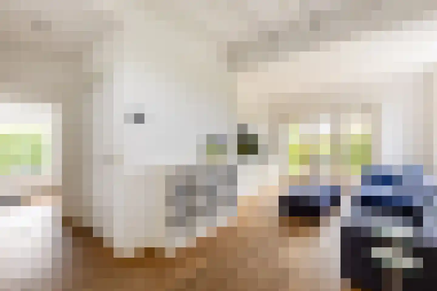 Kade 9 Tinte thumbnail 11