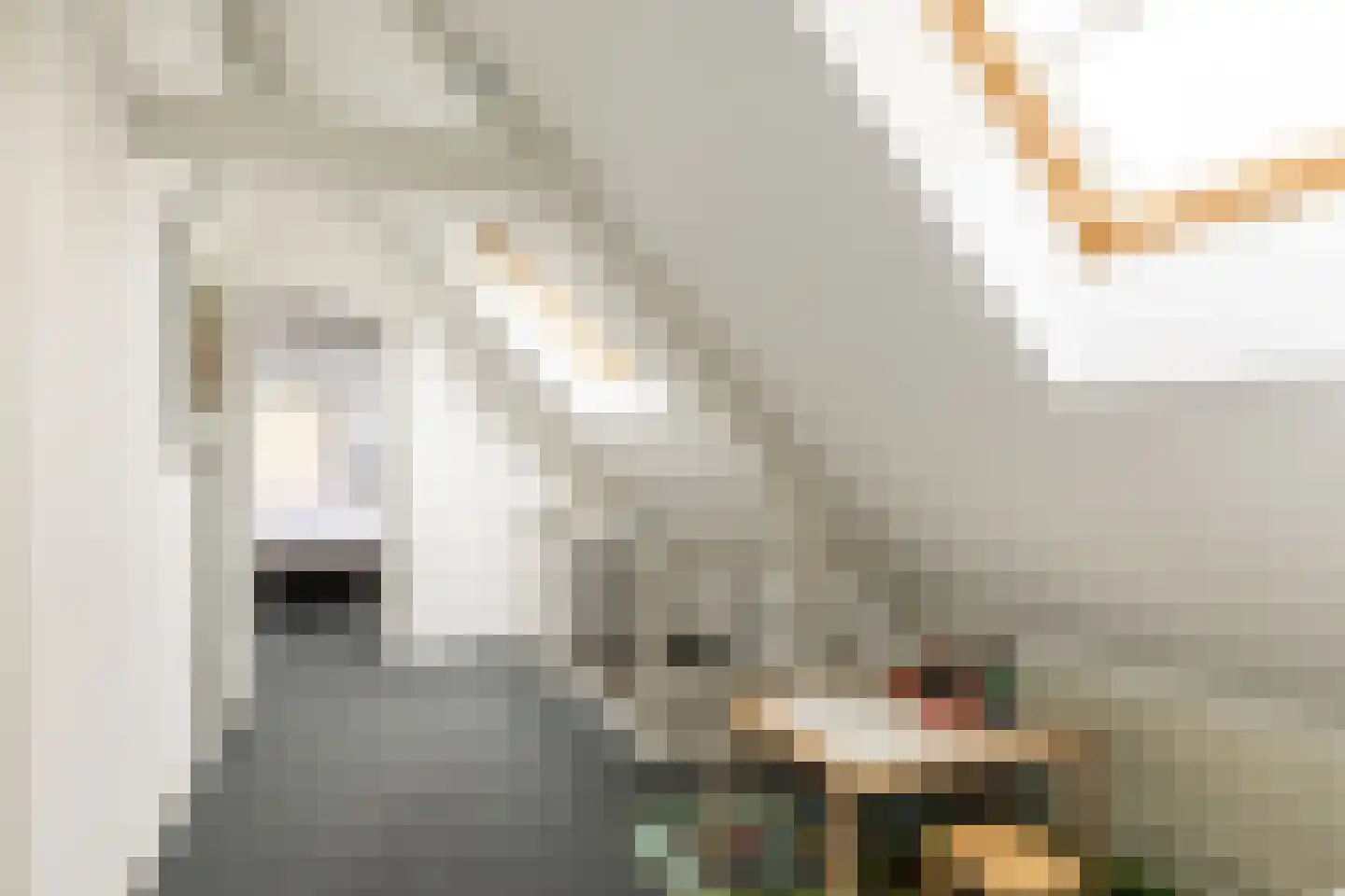 Kade 9 Tinte thumbnail 21