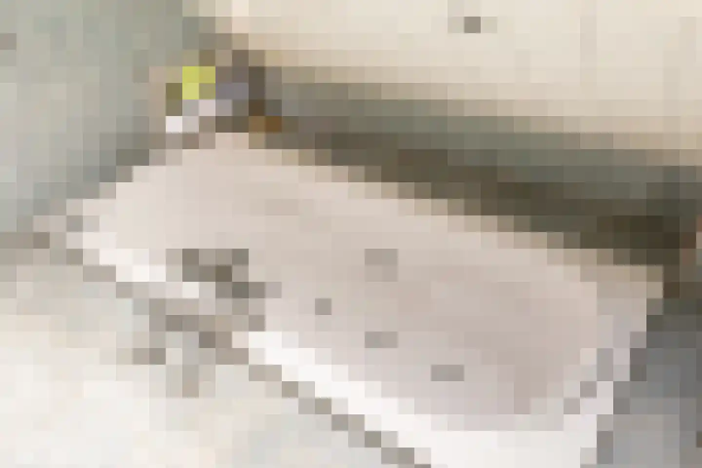 Kade 9 Tinte thumbnail 30