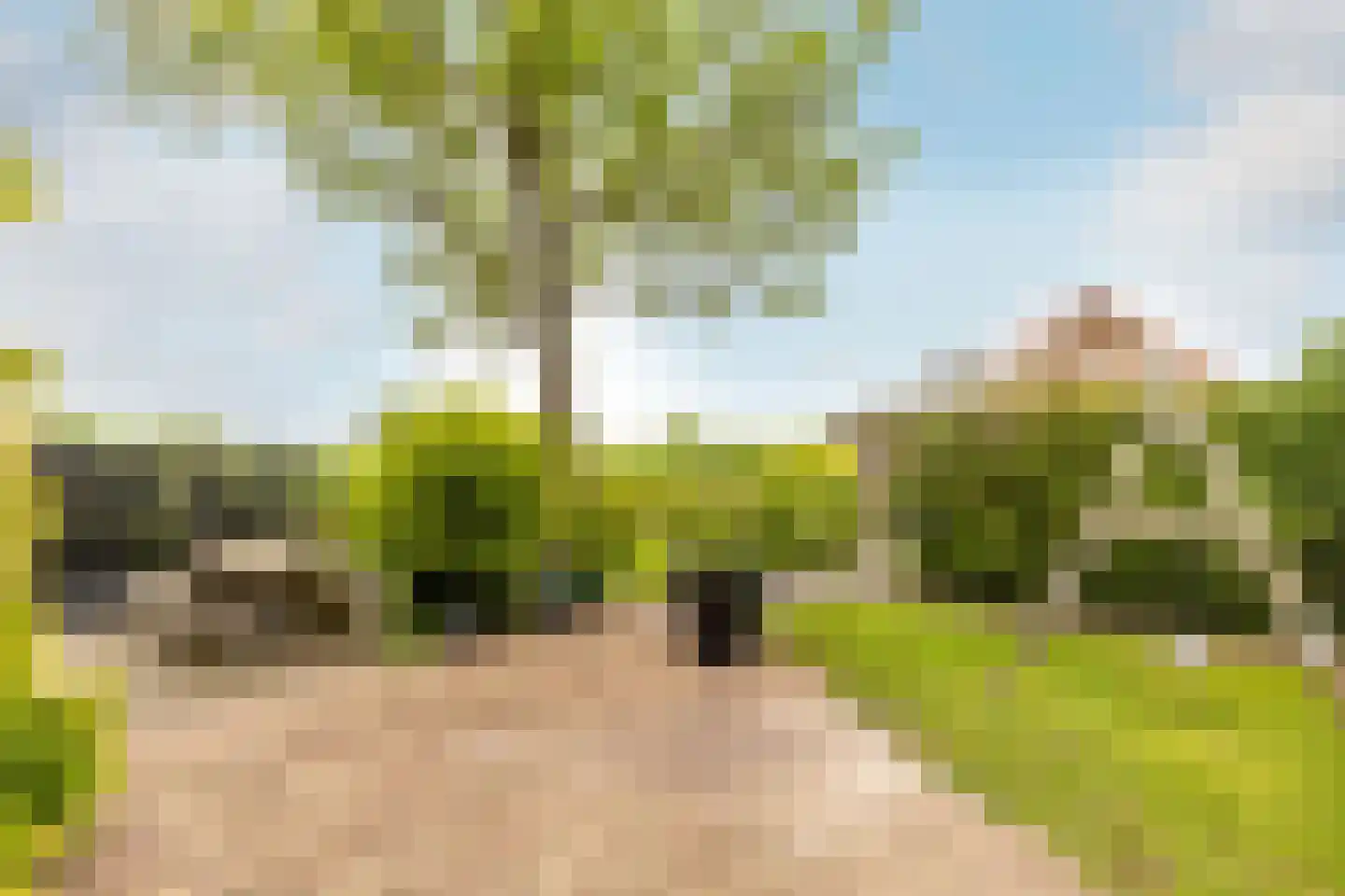 Kade 9 Tinte thumbnail 36