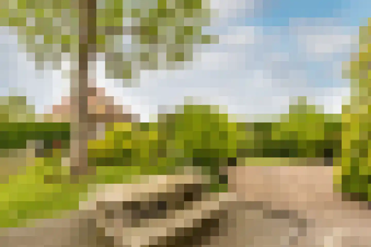 Kade 9 Tinte thumbnail 37