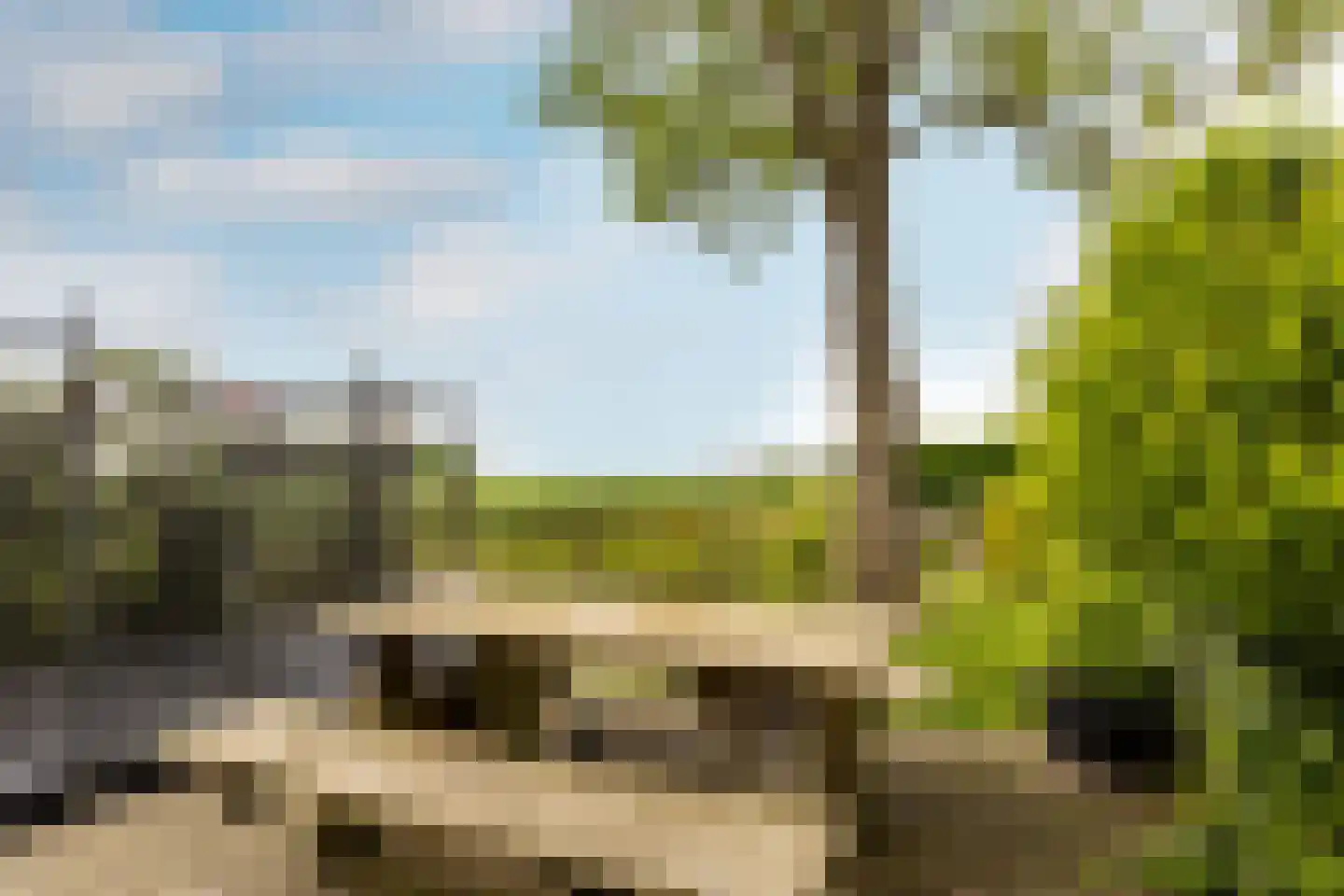Kade 9 Tinte thumbnail 38