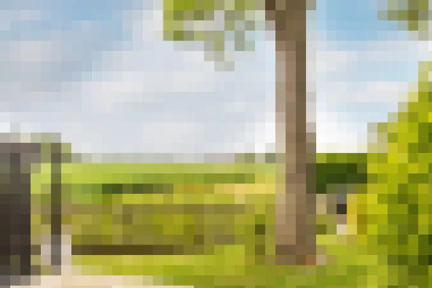 Kade 9 Tinte thumbnail 39