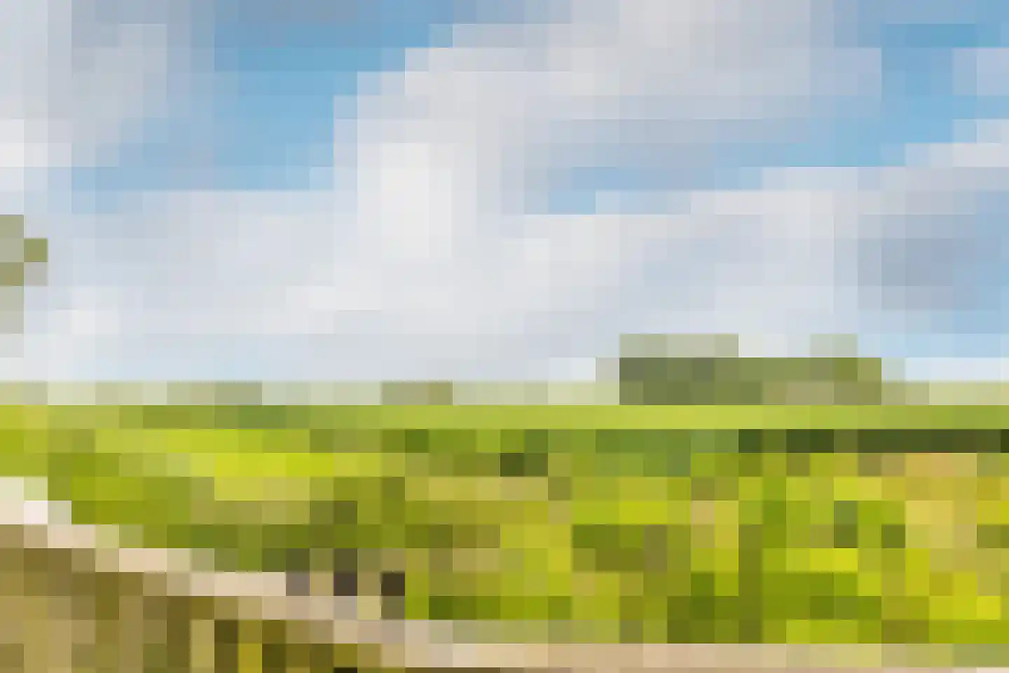 Kade 9 Tinte thumbnail 40