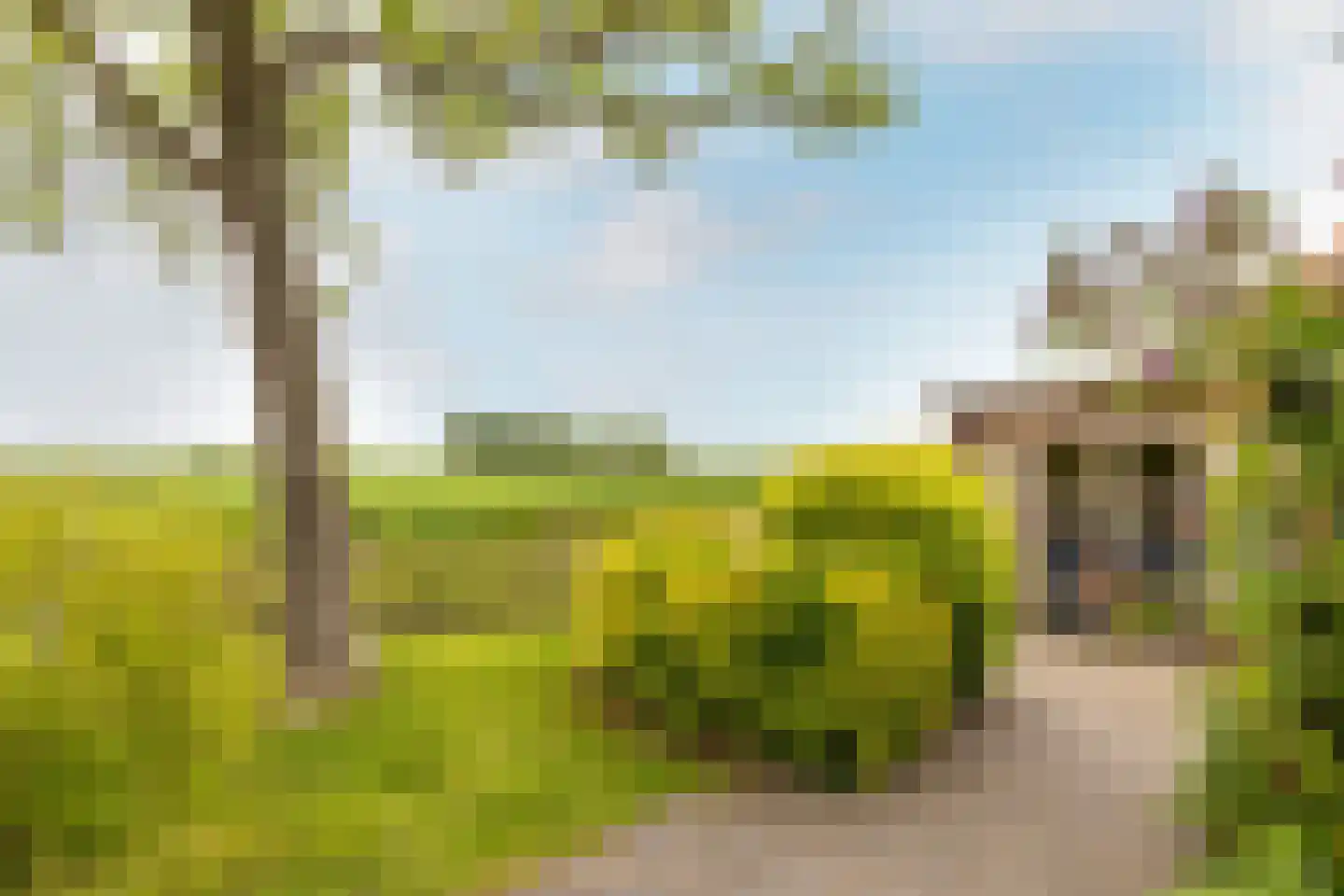 Kade 9 Tinte thumbnail 41