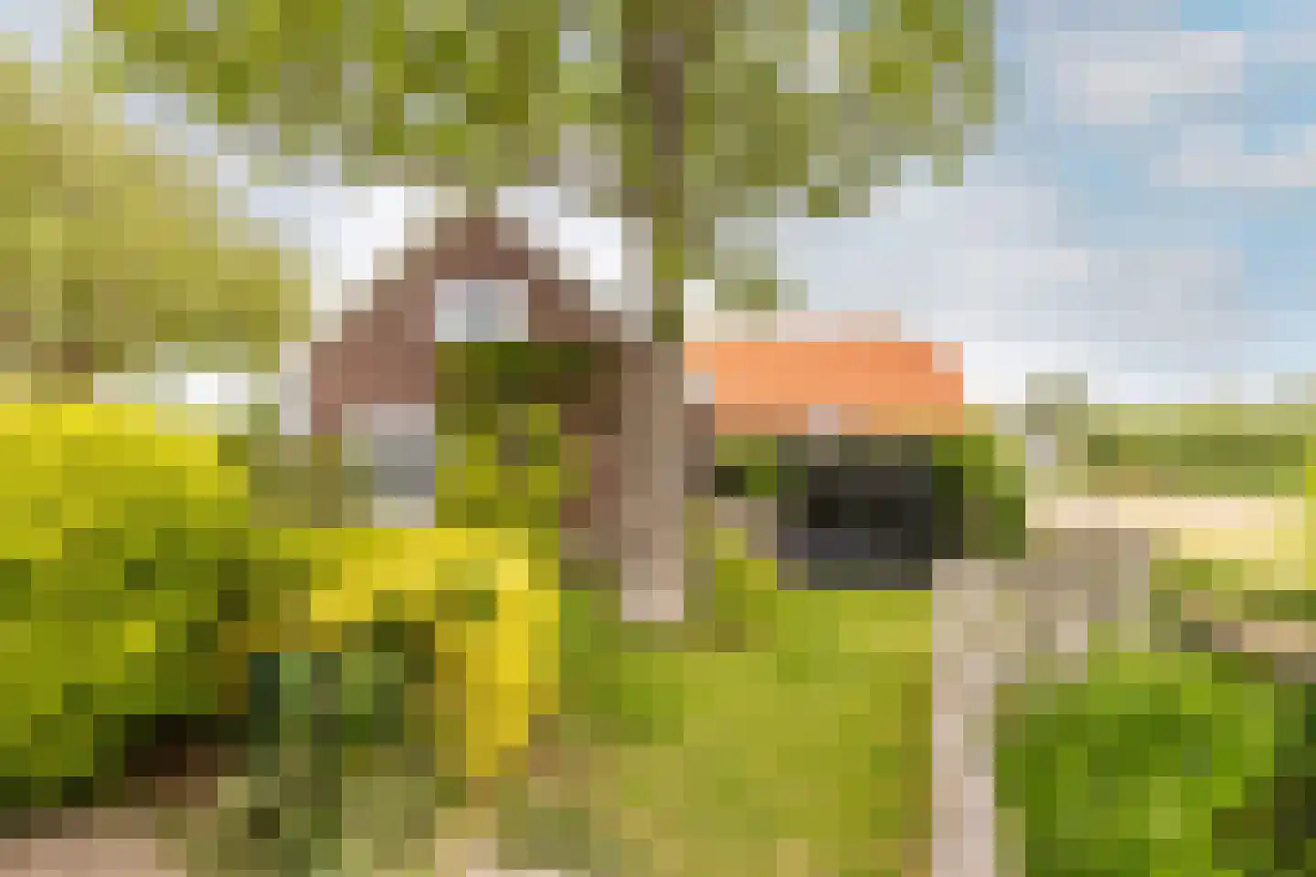 Kade 9 Tinte thumbnail 42