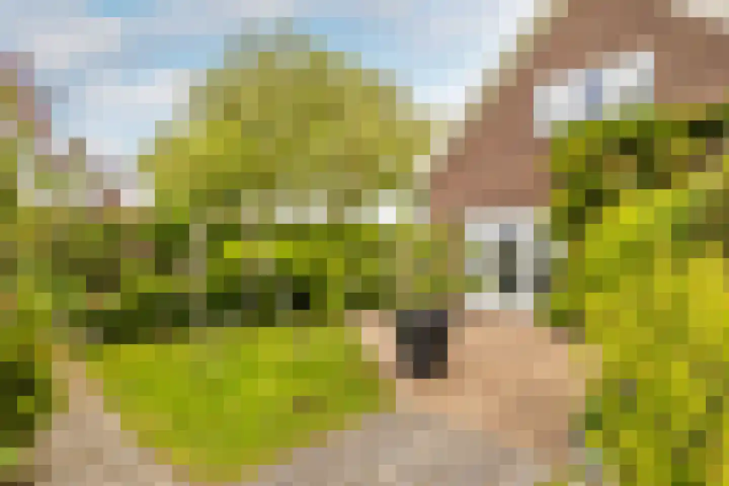 Kade 9 Tinte thumbnail 43