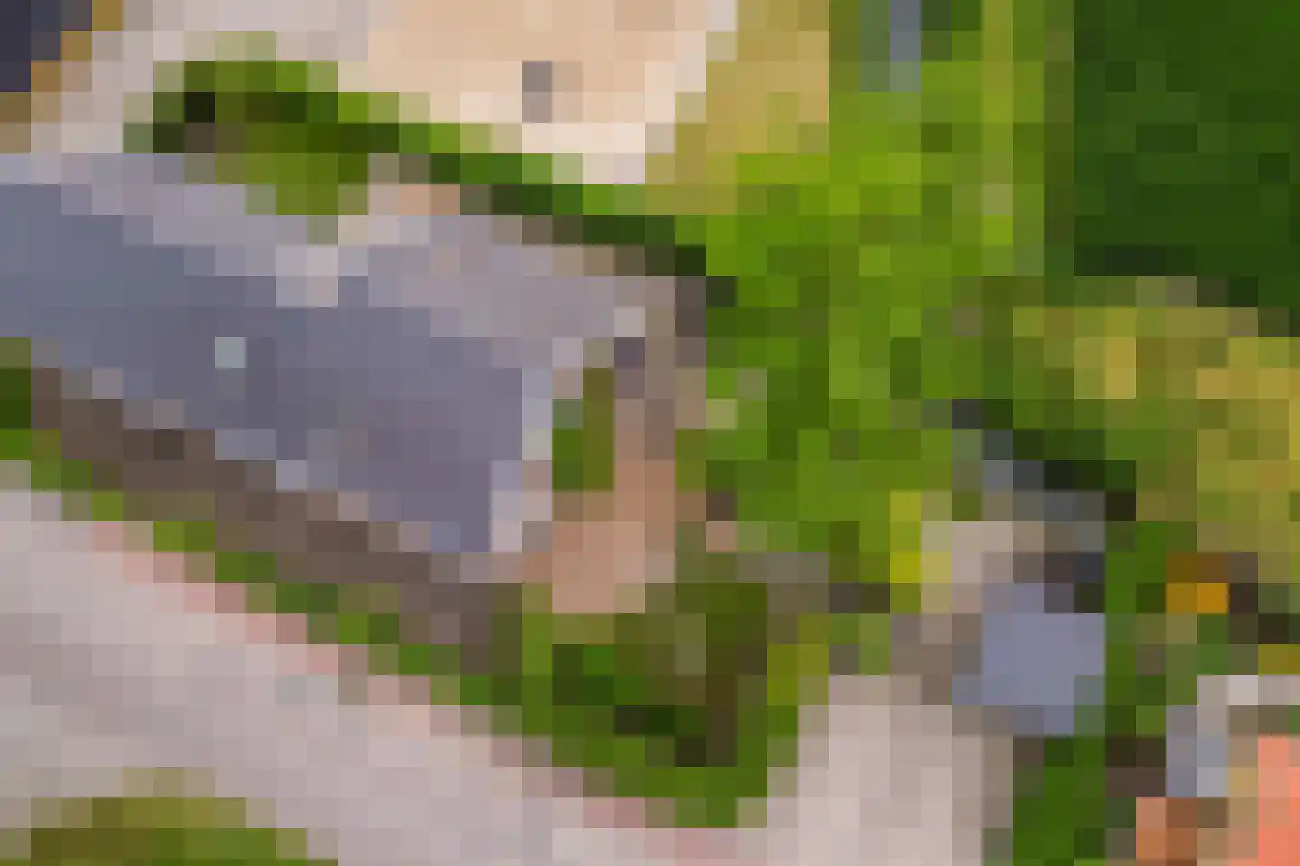 Kade 9 Tinte thumbnail 51