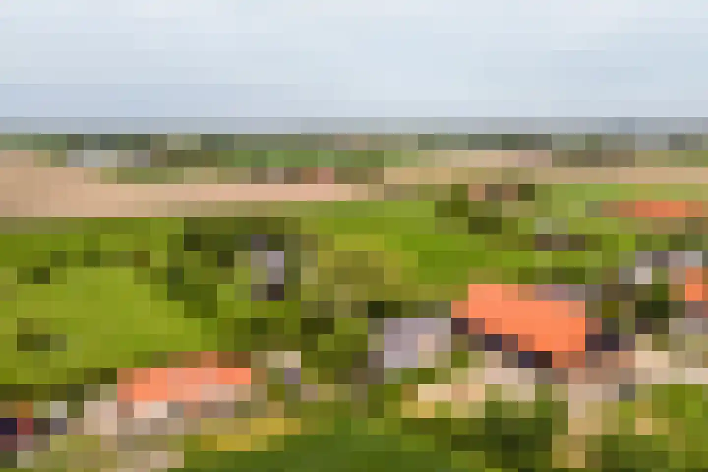 Kade 9 Tinte thumbnail 54