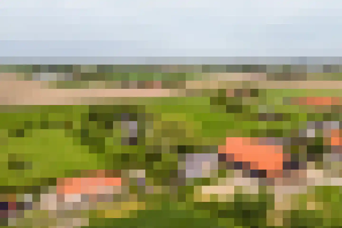 Kade 9 Tinte thumbnail 54