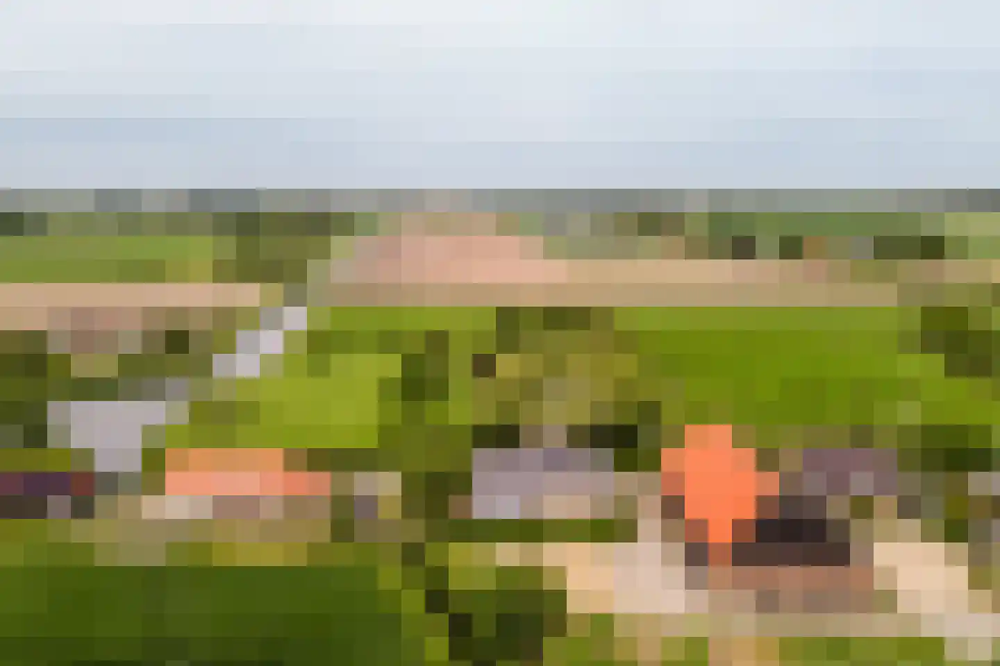 Kade 9 Tinte thumbnail 55