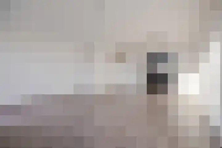 Kadedijk 102 Fijnaart thumbnail 11