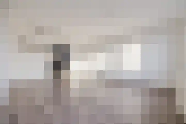 Kadedijk 102 Fijnaart thumbnail 12