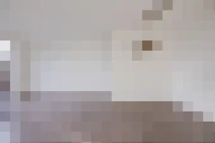 Kadedijk 102 Fijnaart thumbnail 13