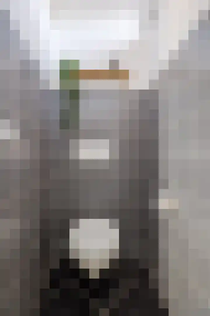 Kadedijk 102 Fijnaart thumbnail 18