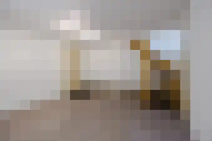 Kadedijk 102 Fijnaart thumbnail 20