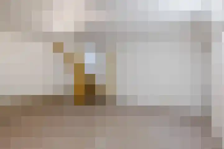 Kadedijk 102 Fijnaart thumbnail 21