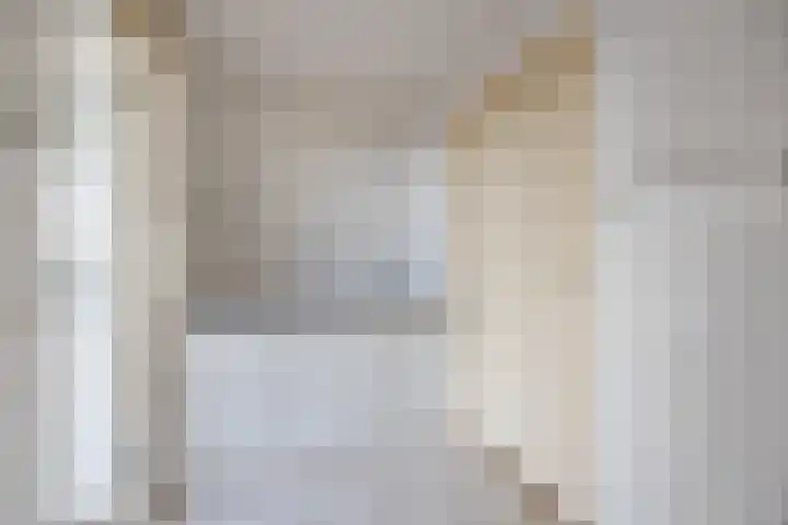 Kadedijk 102 Fijnaart thumbnail 24
