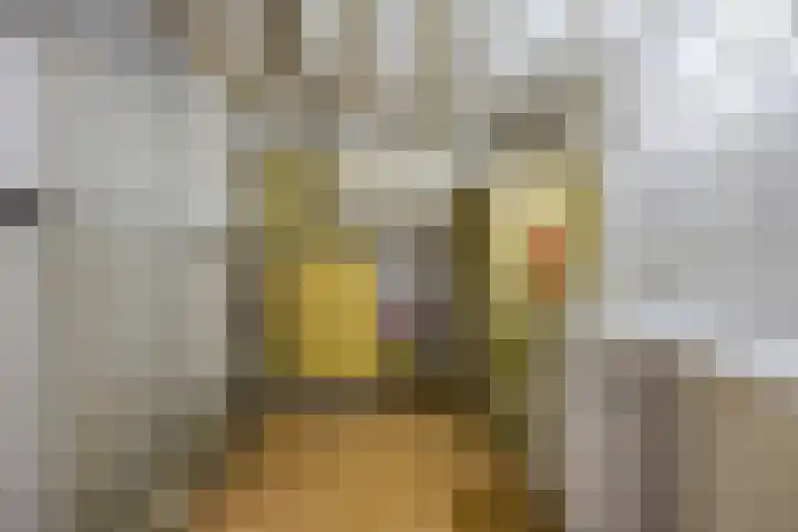 Kadedijk 102 Fijnaart thumbnail 25