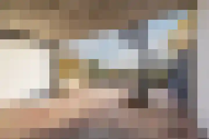 Kadedijk 102 Fijnaart thumbnail 44