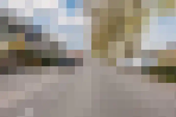Kadedijk 102 Fijnaart thumbnail 49