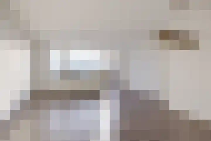 Kadedijk 102 Fijnaart thumbnail 9